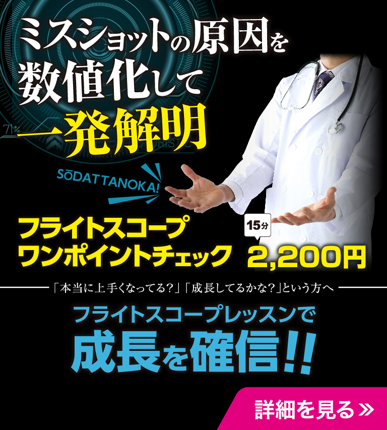 フライトスコープ