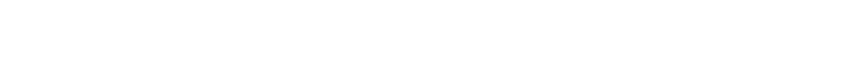 TIVOLI INITIATIVE