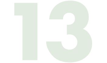 13